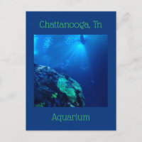 Shark Tank at Chattanooga Tennessee