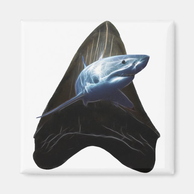 Shark Tooth 2019 Magnet (Front)
