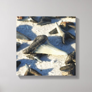 Shark Tooth Canvas Print