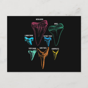 Shark Tooth Hunting - Crazy Shark Gifts Announcement Postcard