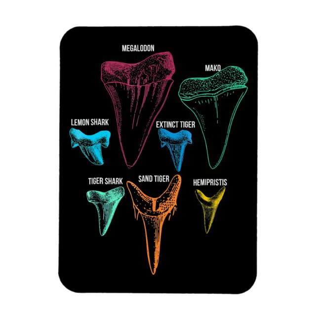 Shark Tooth Hunting - Crazy Shark Gifts Magnet (Vertical)