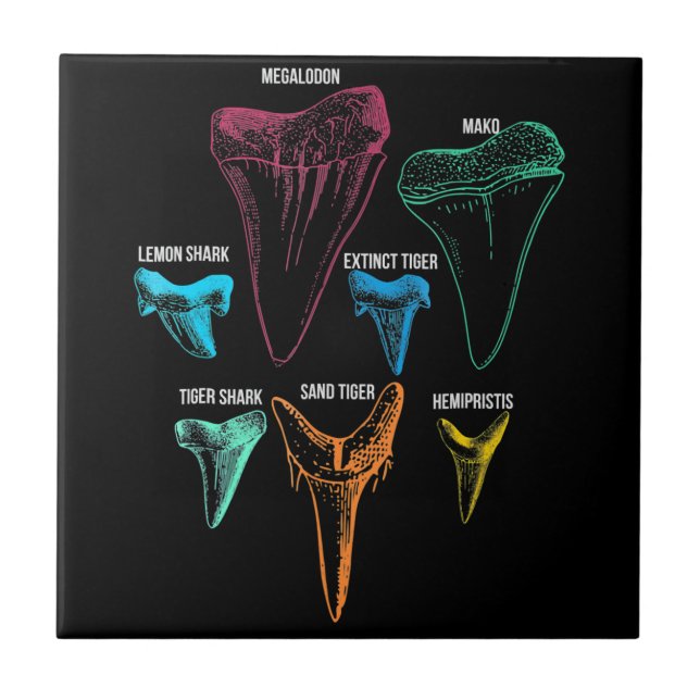 Shark Tooth Hunting Identity Key Ceramic Tile (Front)