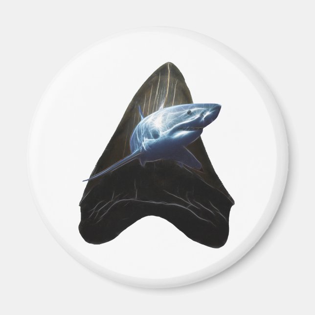 Shark Tooth Magnet (Front)
