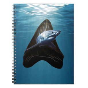 Shark Tooth Ocean Notebook
