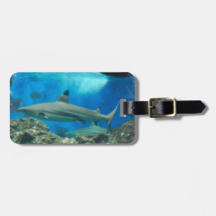 Shark with Reef Luggage Tag