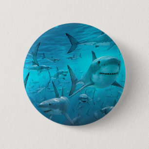 Sharks 6 Cm Round Badge