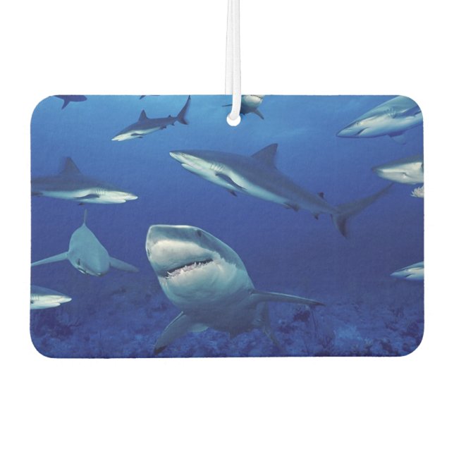 Sharks Air Freshener (Front)