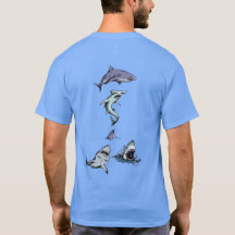 Sharks all over