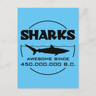 Sharks Awesome Since 450.000.000 B.C. Postcard
