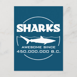Sharks Awesome Since 450.000.000 B.C. Postcard