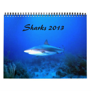 Sharks Calendar 2013