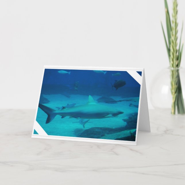 Sharks Card (Front)