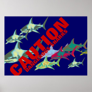 sharks, caution, dangerous poster