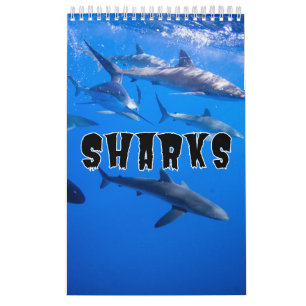 Sharks Collection Showcase Wall Calendar