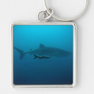 Sharks Fish Ocean Water Tropical Beach Peace Love Key Ring
