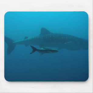 Sharks Fish Ocean Water Tropical Beach Peace Love Mouse Pad