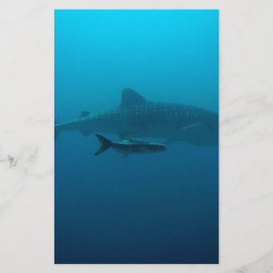Sharks Fish Ocean Water Tropical Beach Peace Love Stationery