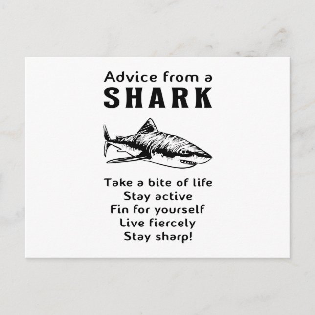 Sharks Fish Sea Shark Fin Cool Ocean Funny Gift Postcard (Front)