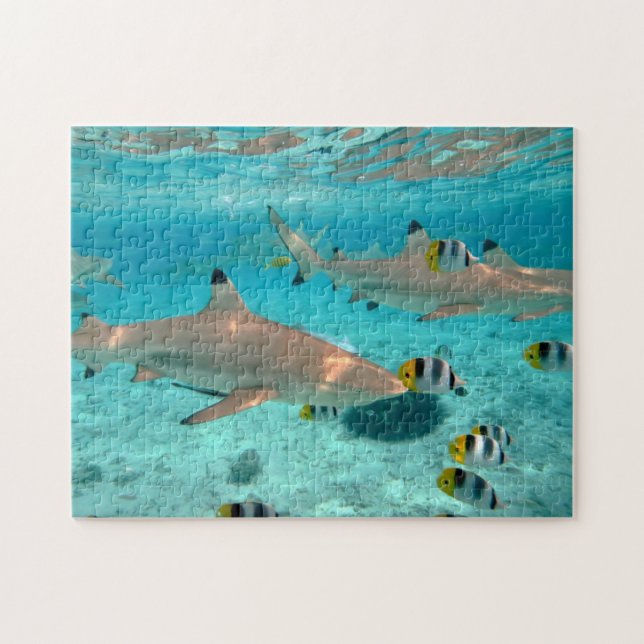 Sharks in the Bora Bora lagoon jigsaw puzzle (Horizontal)