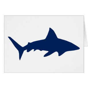Sharks/Jaws