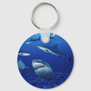 Sharks Keychain