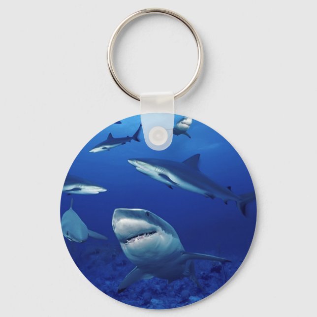 Sharks Keychain (Front)