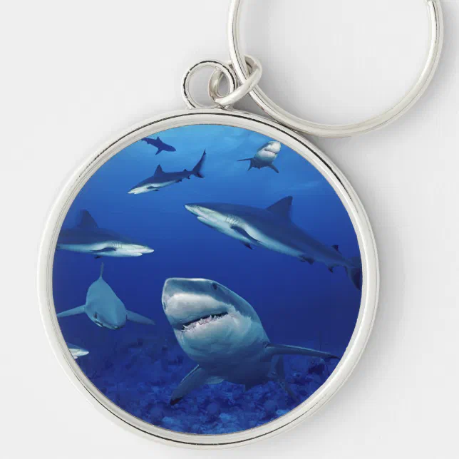 Shark Led Keychain Sharks Keychain | Zazzle
