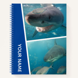 Sharks of Australia Underwater Photo Collage, Blue Notebook