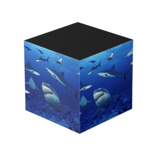 Sharks Photo Cube