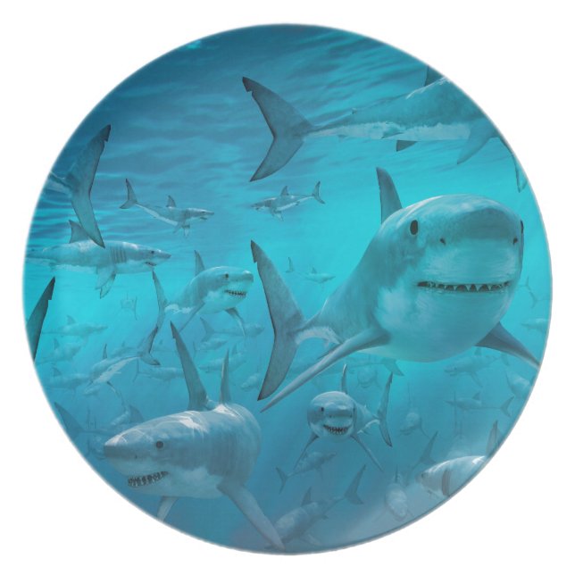 Sharks Plate (Front)