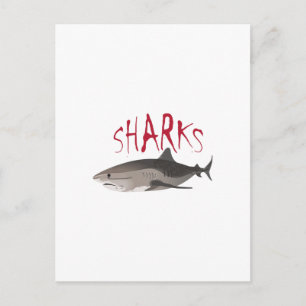 SHARKS POSTCARD