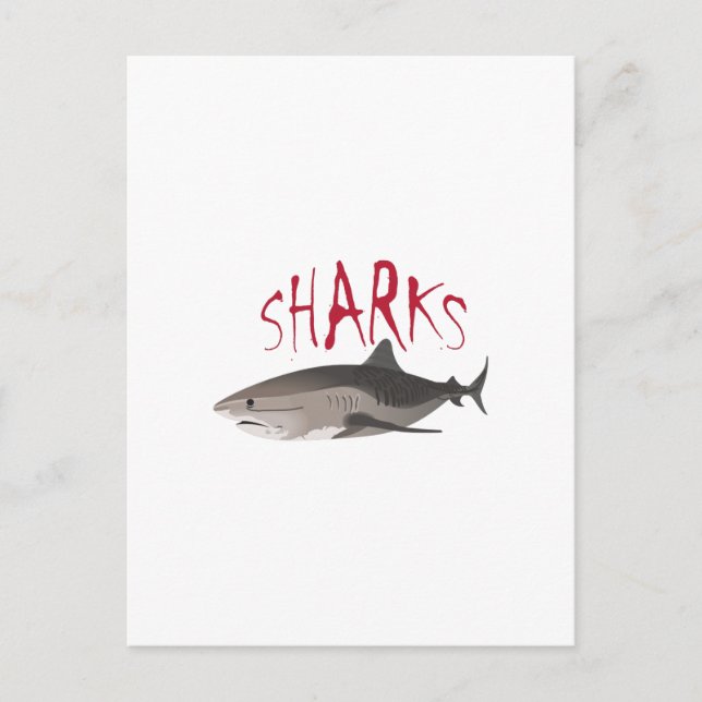 SHARKS POSTCARD (Front)
