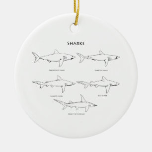 Sharks Species Logo Ceramic Tree Decoration