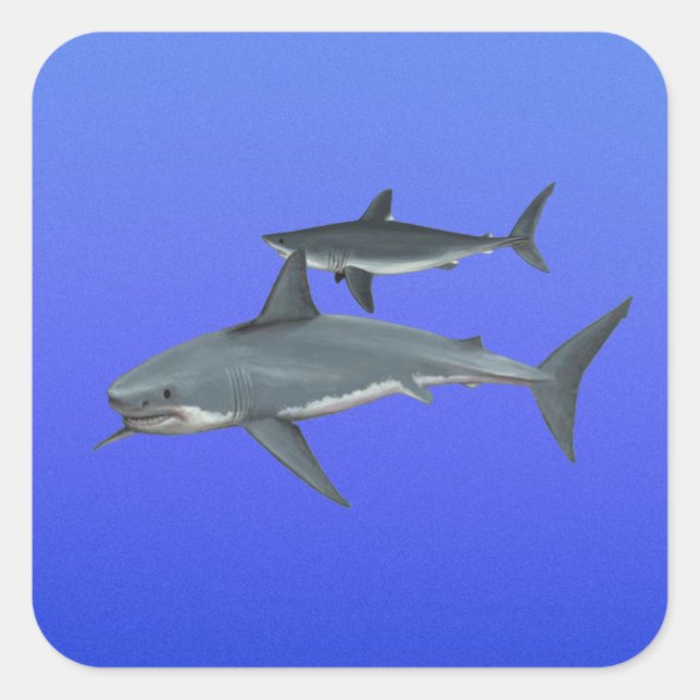 Sharks Square Sticker (Front)