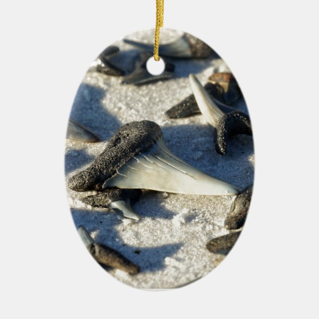 Sharks Teeth from Jax Beach Ceramic Tree Decoration (Front)