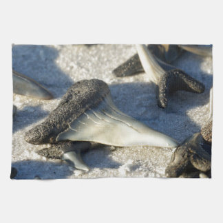 Sharks Teeth from Jax Beach Tea Towel