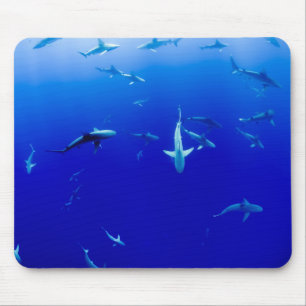 Sharks Underwater Mouse Pad