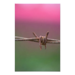 Sharp Colours. Photo Print