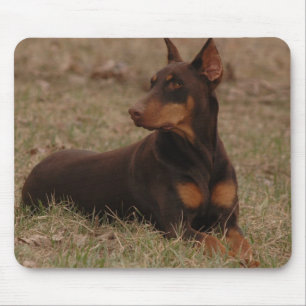 Sharp Red and Rust Female Doberman Pinscher Mouse Pad