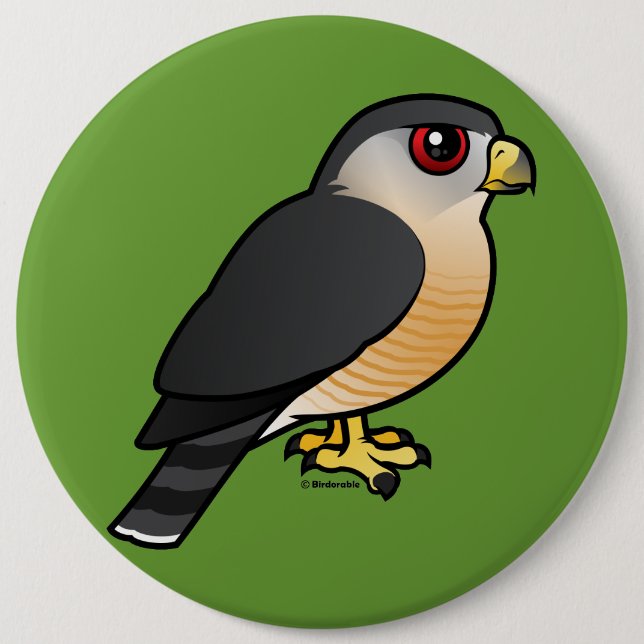 Sharp-shinned Hawk 6 Cm Round Badge (Front)
