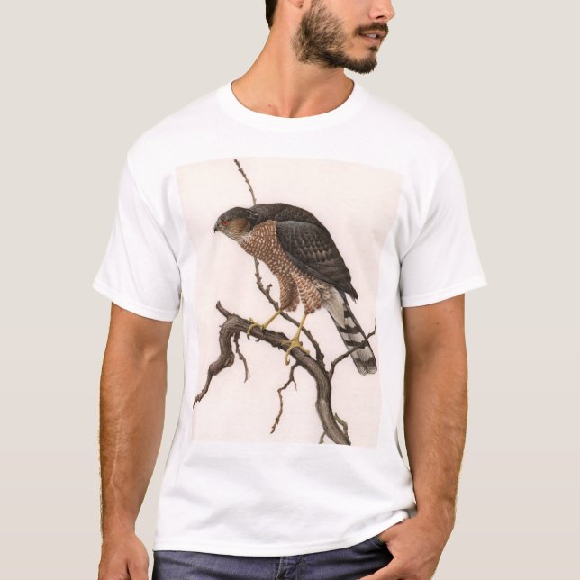 Sharp-shinned Hawk, adult female T-Shirt (Front)