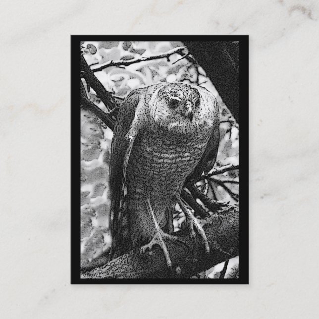 Sharp-Shinned Hawk ATC Business Card (Front)