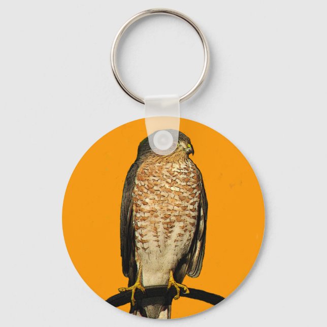 Sharp-Shinned Hawk Key Ring (Front)