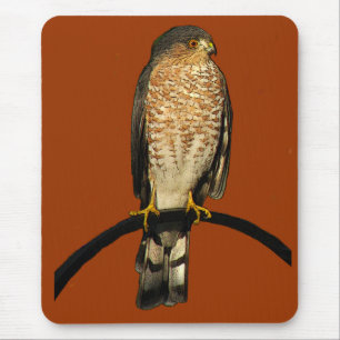 Sharp-shinned Hawk Mouse Pad