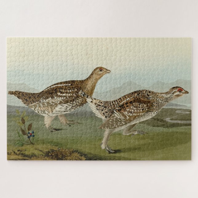 Sharp-tailed Grouse - Audubon's Birds of America Jigsaw Puzzle (Horizontal)