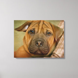 Sharpei-Beagle Puppy Canvas Print