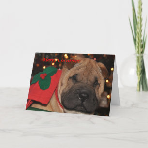 Sharpei Christmas Card