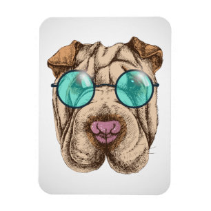 Sharpei In Sunglasses Magnet