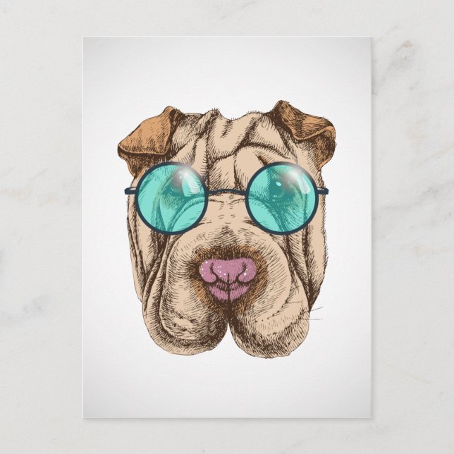 Sharpei In Sunglasses Postcard (Front)