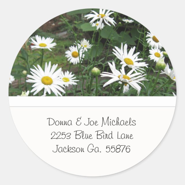 Shasta Daisies Address Stickers (Front)